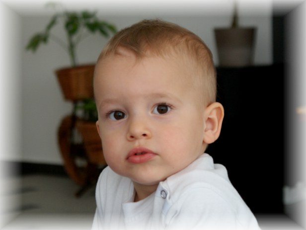 7.12.2008