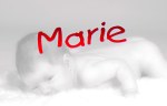 hier geht's zu Marie